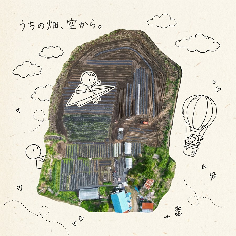空撮の畑を島のように切り抜いたらくがきコラージュ